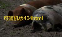 可随机版404html源码
